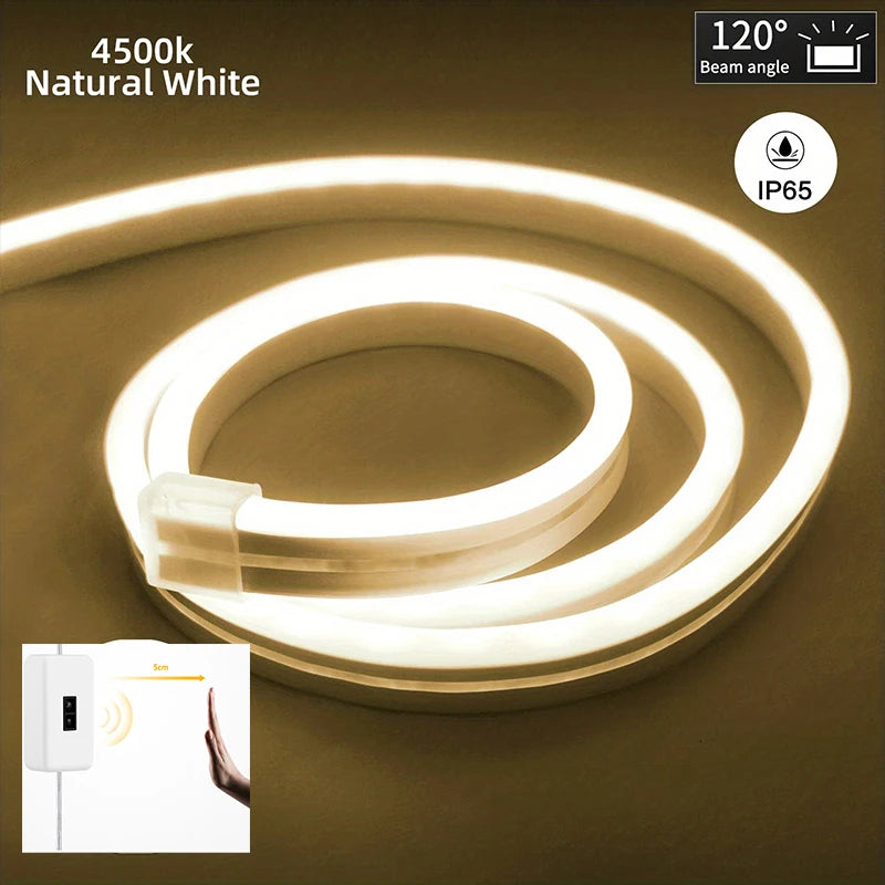 Neon LED Strip