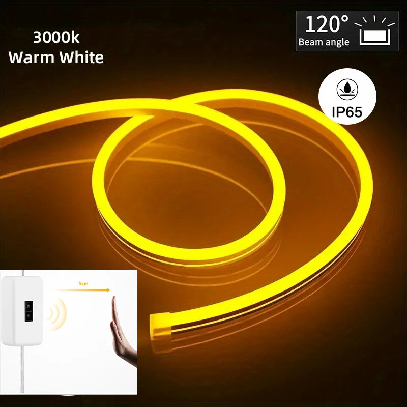 Neon LED Strip
