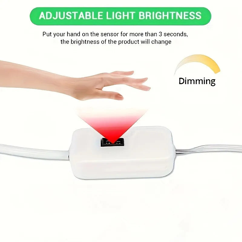 Neon LED Strip