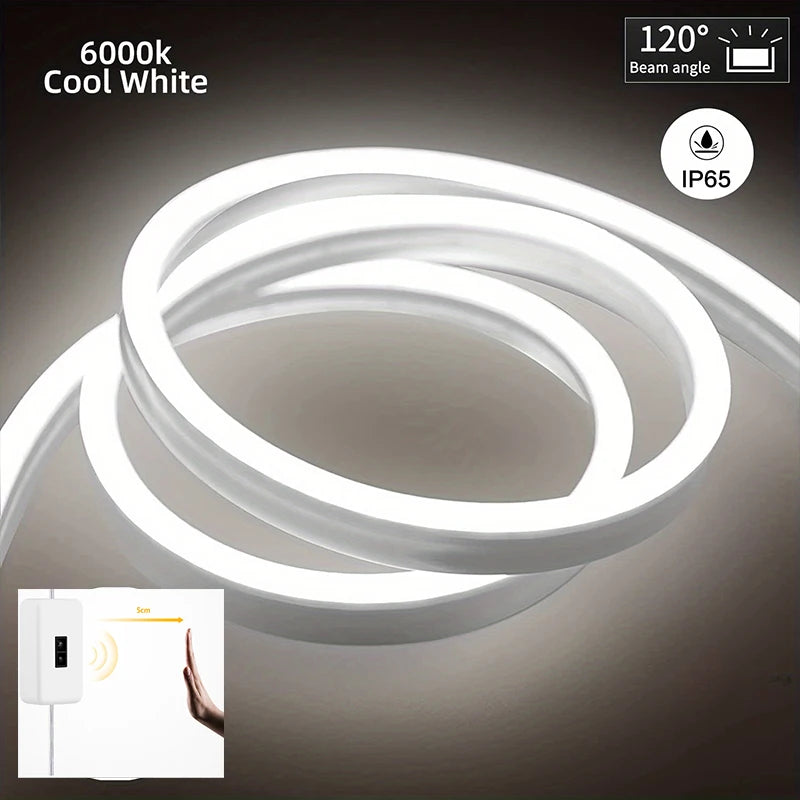 Neon LED Strip